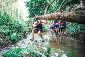 BIB: 
                            <button type="button" onclick="openModal(25478366)" class="btn btn-primary btn-sm float-right btn-popup" data-toggle="modal" data-target=".modal-high-quality">
                        <i class="fas fa-shopping-cart"></i> Add to Cart
                    </button>
                                            <button type="button" onclick="isThisMe(25478366, true)" class="btn btn-success btn-sm float-right btn-popup btn-isme hidden" data-toggle="tooltip" data-placement="bottom" title="นี่คือรูปของคุณใช่ไหม คลิกที่นี่เพื่อเอาเข้าอัลบั้ม">
                        <i class="fas fa-plus"></i> Add to album
                    </button>
                    <button type="button" onclick="isThisMe(25478366, false)" class="btn btn-warning btn-sm float-right btn-popup btn-isnotme hidden">
                        <i class="fas fa-ban"></i> Remove from album
                    </button>